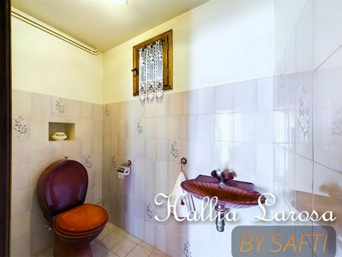 photo no. 11