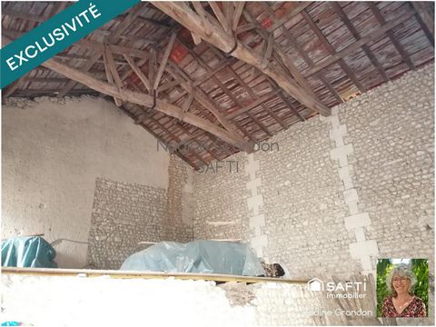 photo no. 19