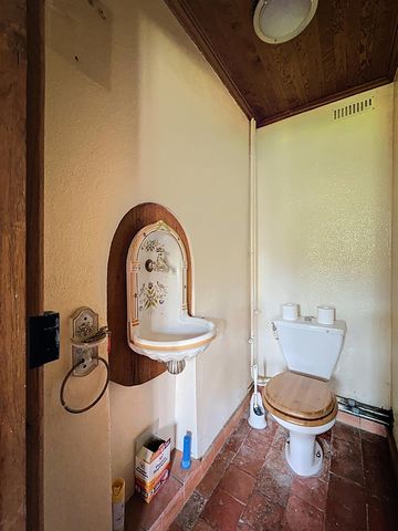 photo no. 11