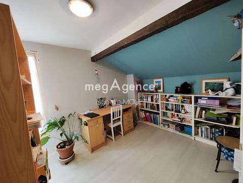 photo no. 11