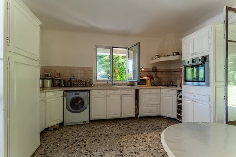 photo no. 13