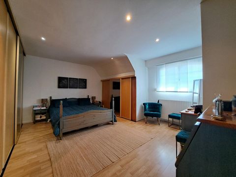 photo no. 12