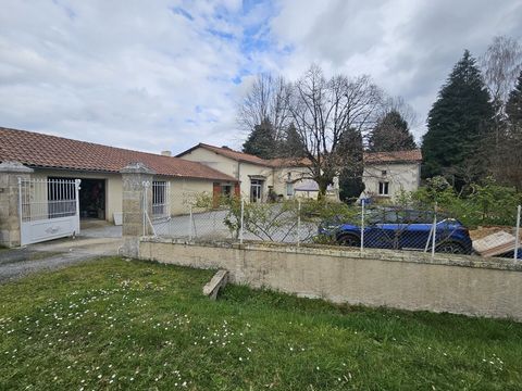 photo no. 4