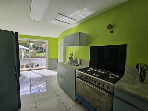 photo no. 13