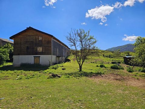 Maison de 200 m² en pierre + 3ha9 terrain