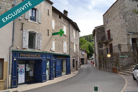 Bel immeuble 415 m2 avec triplex, duplex et local commercial