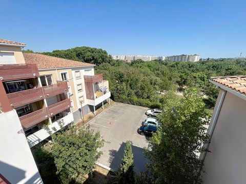 photo no. 12