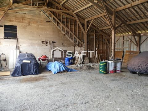 photo no. 13