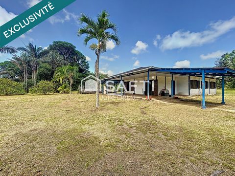 Maison 4 chambres - Terrain 4.9 hectares