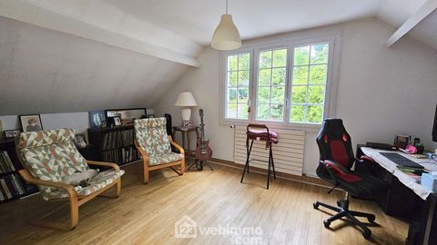 photo no. 11