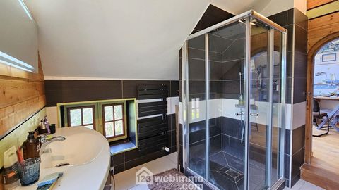 photo no. 16