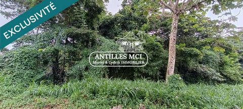Magnifique terrain constructible sur la commune de Rivière Salée