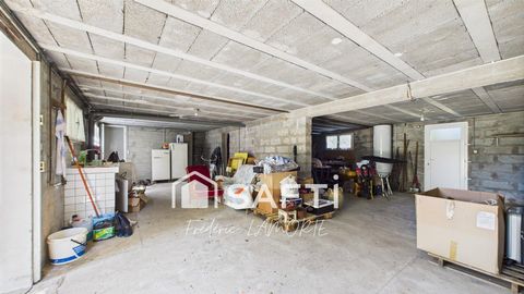 photo no. 8