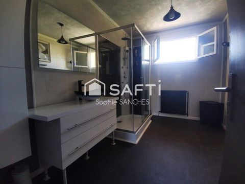photo no. 6