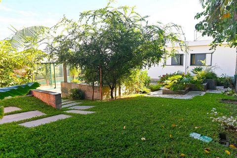 photo no. 18
