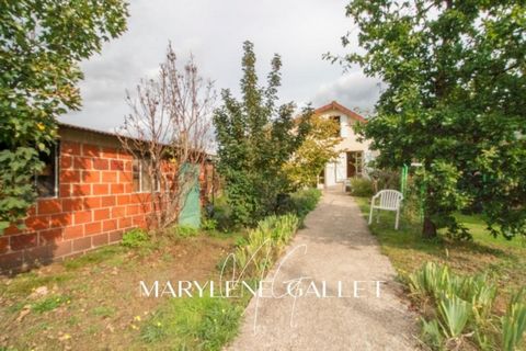 photo no. 2