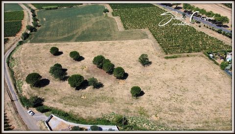 Terrain à vendre de 803 m2 ZAC proche de PEZENAS (34)