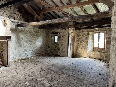 photo no. 8