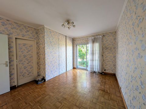 photo no. 6