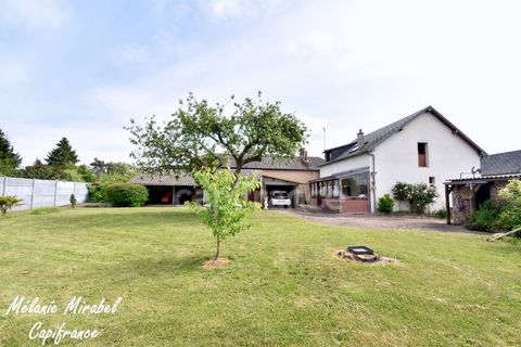 photo no. 2