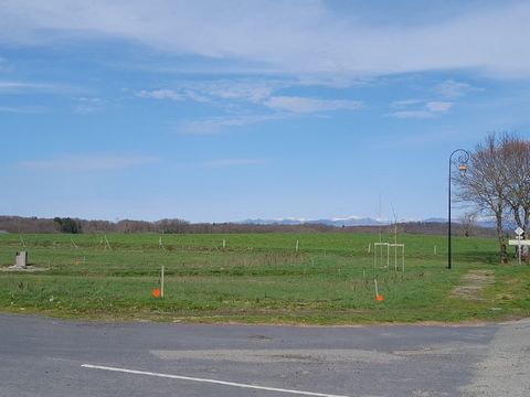 photo no. 3