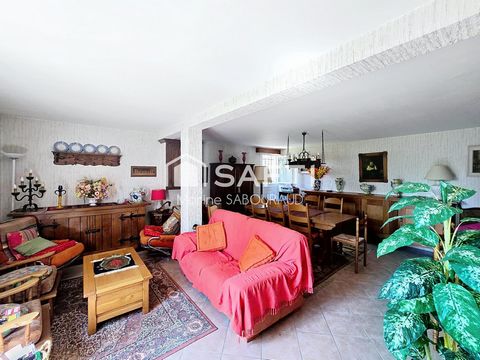 photo no. 8