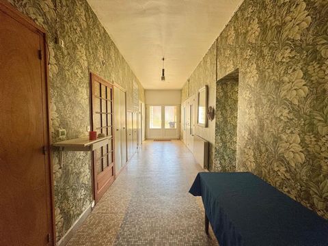 photo no. 6