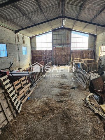 photo no. 15