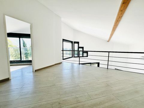 photo no. 8