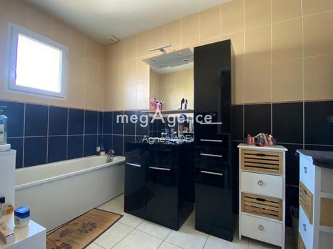 photo no. 11