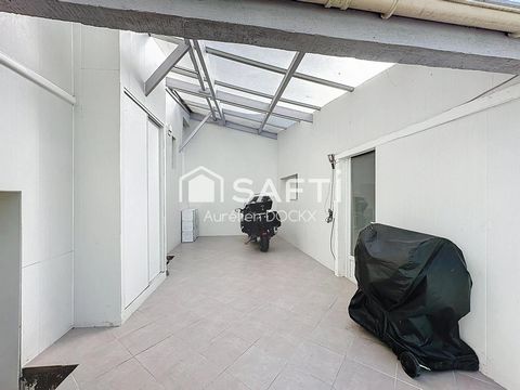 photo no. 11