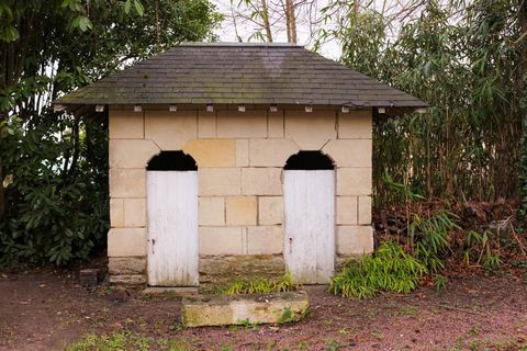 photo no. 7