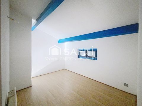 photo no. 6
