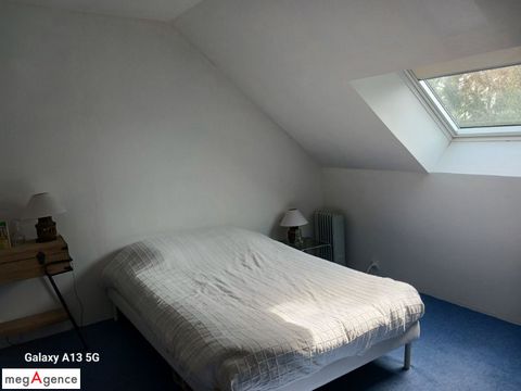 photo no. 11