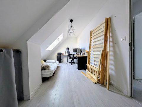 photo no. 7