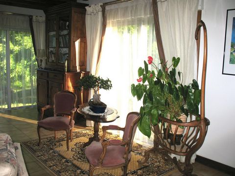 photo no. 6