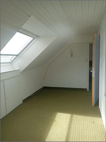 photo no. 6