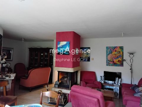 photo no. 2