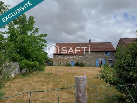 photo no. 10