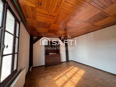 photo no. 11