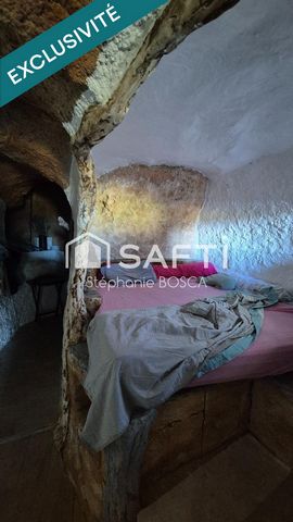 photo no. 6