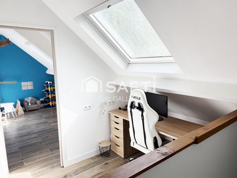 photo no. 9