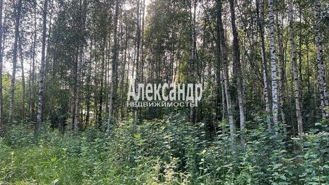 1704032 Пpодaётcя земeльный учаcток в массиве 