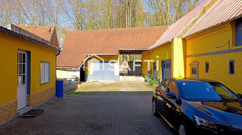 photo no. 2