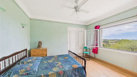 photo no. 17