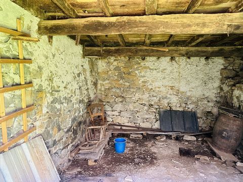 photo no. 10