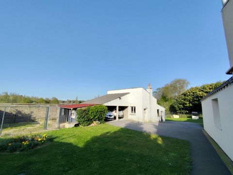 photo no. 15