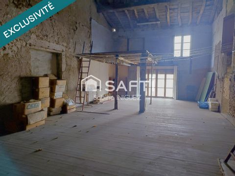 photo no. 13