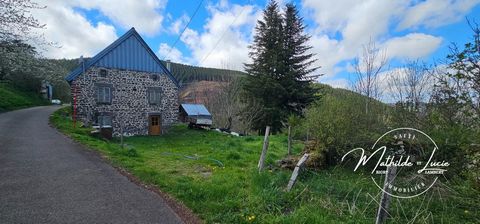 Maison au cœur du Cézallier !