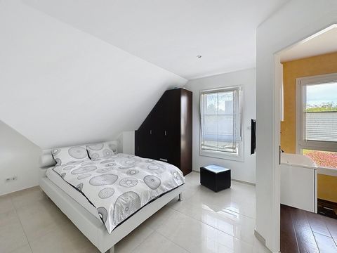 photo no. 11